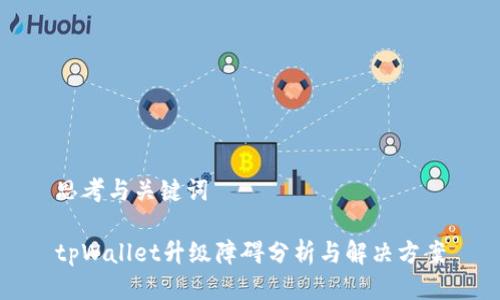 思考与关键词

tpWallet升级障碍分析与解决方案