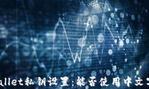 tpWallet私钥设置:能否使用中文字符?