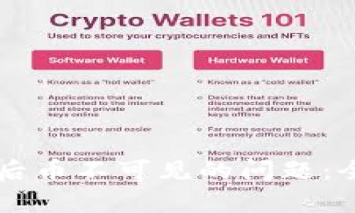 解决tpWallet转账后币不可见的问题：全面指南与解决方案